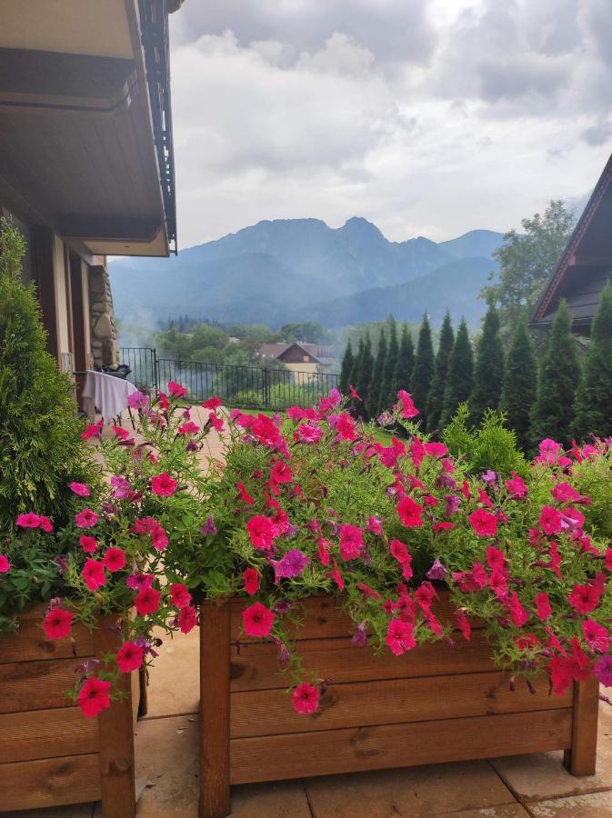 Harnasiowa Izba Ski - Polana Szymoszkowa Ski Resort Zakopane Exterior foto